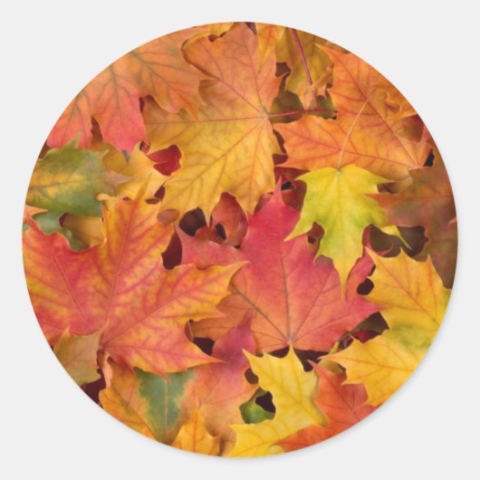 Sticker Rond Feuilles automnales mariages Couleurs automnales o (Devant)