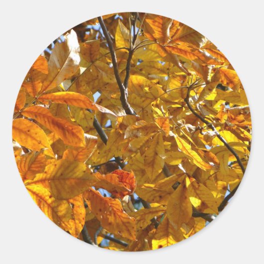 Sticker Rond Feuilles d'automne Cadeaux dorés Vêtements Article (Devant)