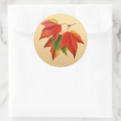 Sticker Rond Feuilles d'automne Couleurs d'automne Feuille d'ér (Sac)