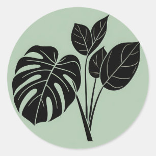 Sticker Rond Feuilles de Monstera Minimaliste Tropical Sauge