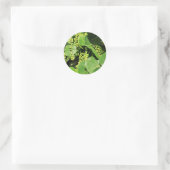 Sticker Rond Feuilles de raisins de mer et baies (Sac)