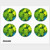 Sticker Rond Feuilles d'érable vert frais (Feuille)