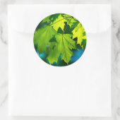 Sticker Rond Feuilles d'érable vert frais (Sac)
