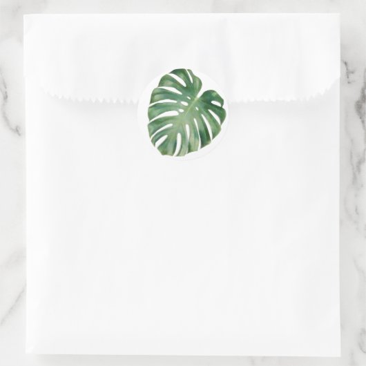 Sticker Rond Feuilles Monstera (Sac)