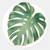 Sticker Rond Feuilles Monstera (Devant)