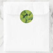 Sticker Rond Feuilles plantes de printemps vert (Sac)