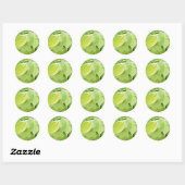 Sticker Rond Feuilles verts dans l'arbre (Feuille)
