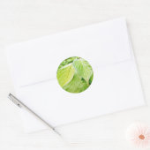 Sticker Rond Feuilles verts dans l'arbre (Enveloppe)