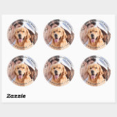 Sticker Rond Fiançailles Photo Mes Humains Se Marient Chien (Feuille)