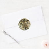Sticker Rond Fierce Leopard (Enveloppe)