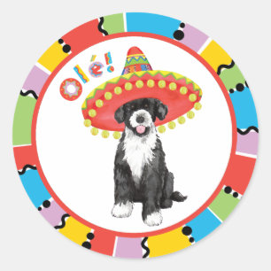 Sticker Rond Fiesta PWD