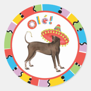 Sticker Rond Fiesta Xolo