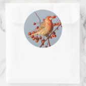 Sticker Rond Finch maison avec Berries Hawthorn (Sac)