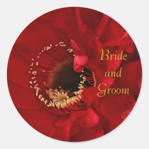 Sticker Rond Firelight Cactus fleur mariée et groom