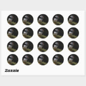 Sticker Rond Fisher Puffin (Feuille)