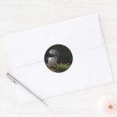 Sticker Rond Fisher Puffin (Enveloppe)