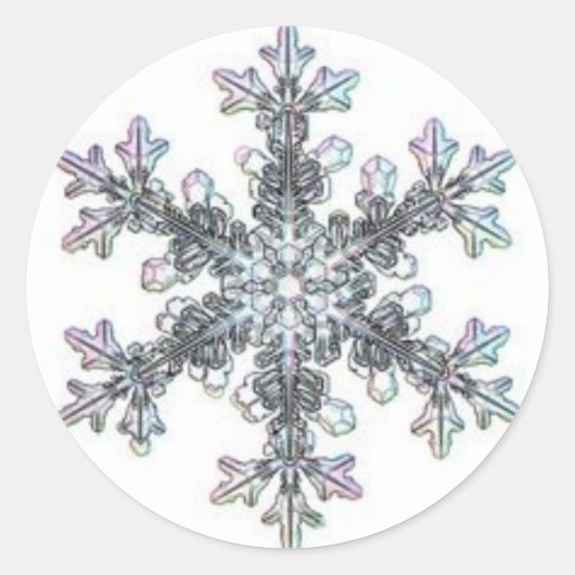 Sticker Rond Flacon de neige (Devant)