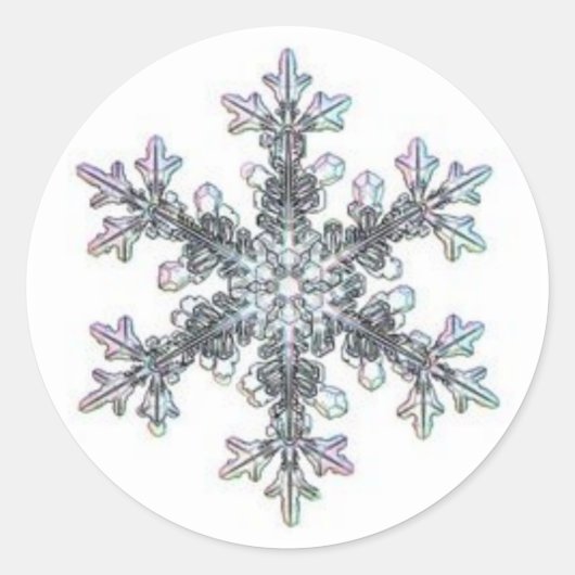 Sticker Rond Flacon de neige (Devant)