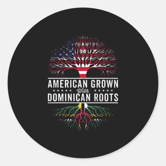 Sticker Rond Flag américain de Dominican Roots (Devant)