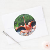 Sticker rond Flamant rose (Enveloppe)