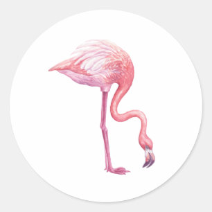 Sticker Rond Flamant rose