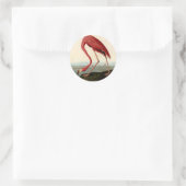 Sticker Rond Flamant rose américain d'Audubon (Sac)