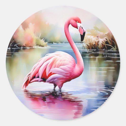 Sticker Rond Flamant rose dans l'eau (Devant)