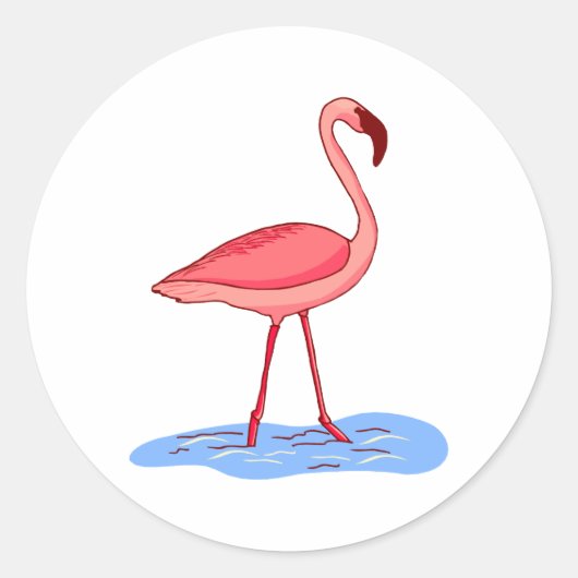 Sticker Rond Flamant rose Flora (Devant)