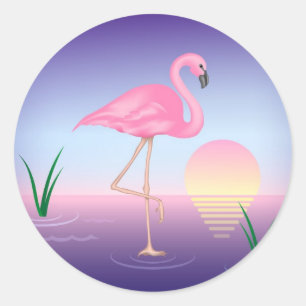 Sticker Rond Flamant rose rose