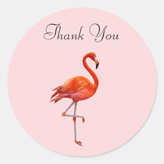 Sticker Rond Flamant rose rose sur Merci rose (Devant)