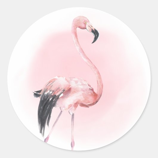 Sticker Rond Flamant Rose Tropical (Devant)