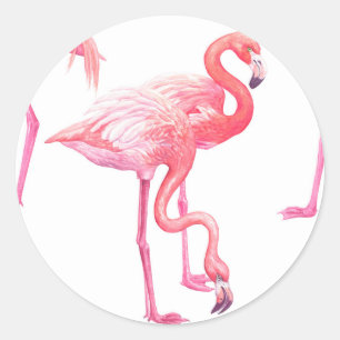 Sticker Rond Flamants roses