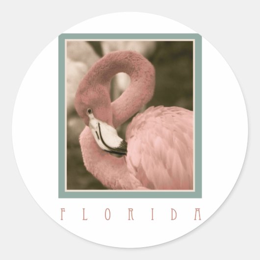 Sticker Rond Flamants roses de Floride (Devant)