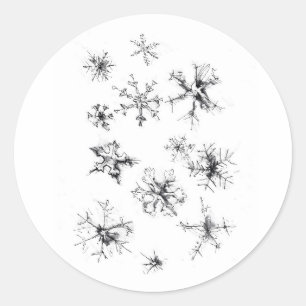 Sticker Rond Flèches de neige en chute délicate
