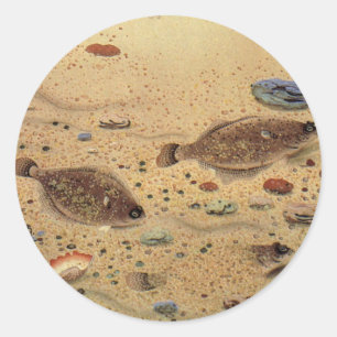 Sticker Rond Flets ou poissons plats, vie marine océanique vint
