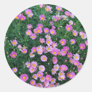 Sticker Rond Fleur Autocollant-Rose