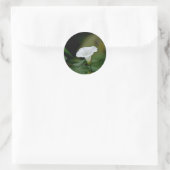Sticker Rond Fleur blanche (Sac)