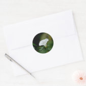 Sticker Rond Fleur blanche (Enveloppe)