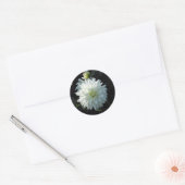 Sticker Rond Fleur blanche (Enveloppe)