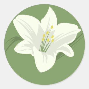 Sticker Rond Fleur blanche