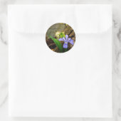 Sticker Rond Fleur blanche pourpre bleu Iris (Sac)