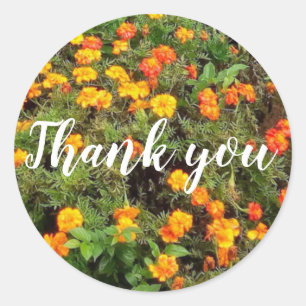 Sticker Rond Fleur botanique rouge orange merci