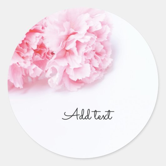 Sticker Rond Fleur carnation rose sur arrière - plan blanc (Devant)