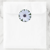 Sticker Rond Fleur carrelée (Sac)