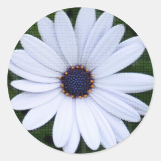 Sticker Rond Fleur carrelée