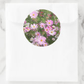 Sticker Rond Fleur Cosmos (Bidens Formosa). Kirkwood (Sac)
