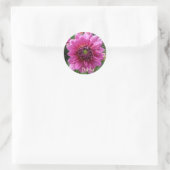 Sticker Rond Fleur Dahlia Rose (Sac)