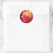 Sticker Rond Fleur Dahlia Vibrante (Sac)