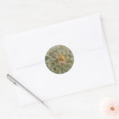 Sticker Rond Fleur Dandelion (Enveloppe)
