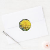 Sticker Rond Fleur Dandelion Dans L'Herbe (Enveloppe)
